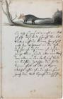 thumbnail of 
          Figure 12
        