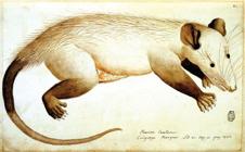 thumbnail of 
          Figure 13
        