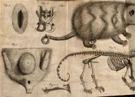 thumbnail of 
          Figure 14
        