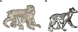 thumbnail of 
          Figure 8
        