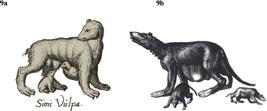 thumbnail of 
          Figure 9
        